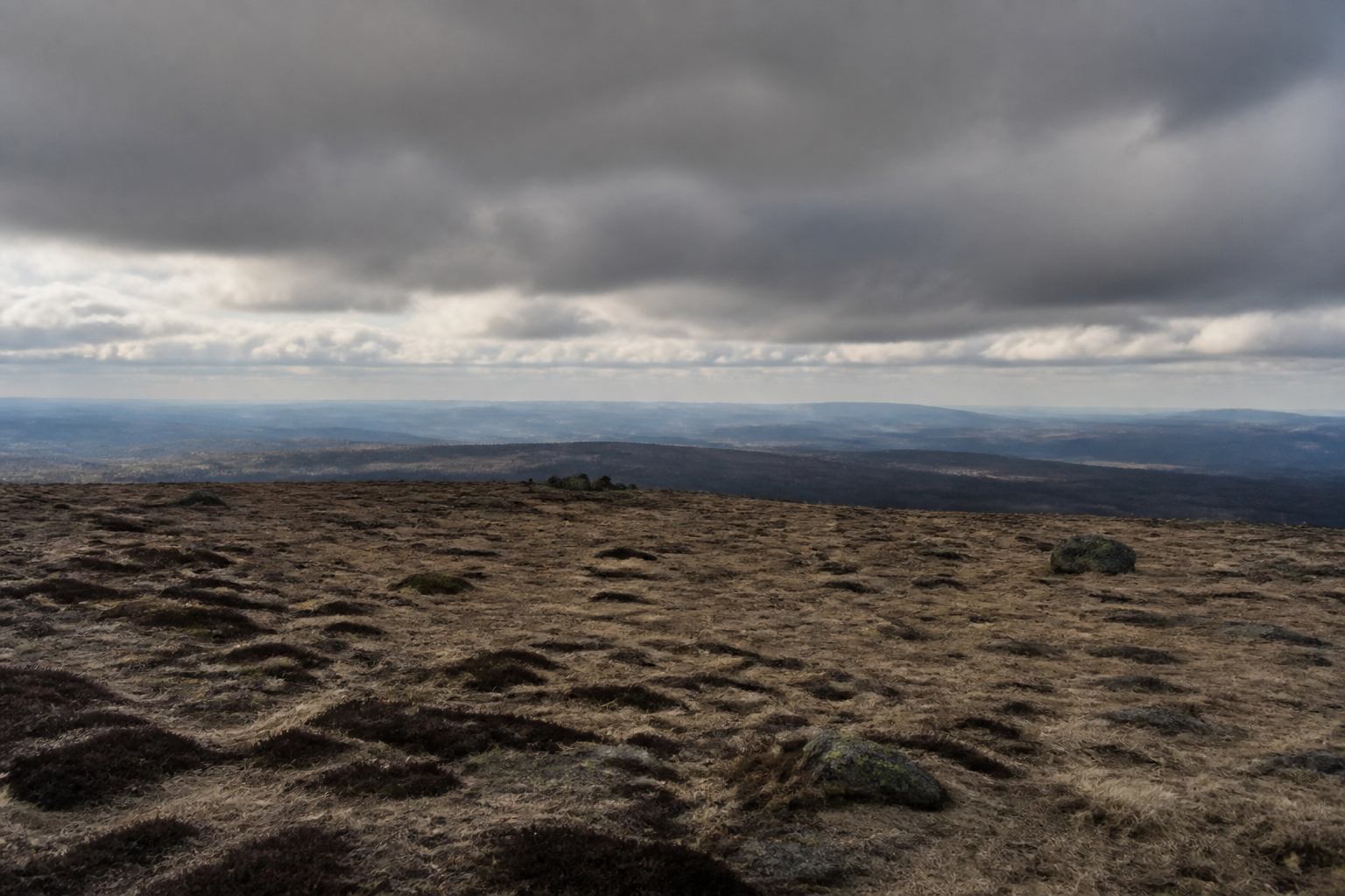 Offenes Hochplateau am Brocken mit tiefer Wolkendecke und kargem Gras
