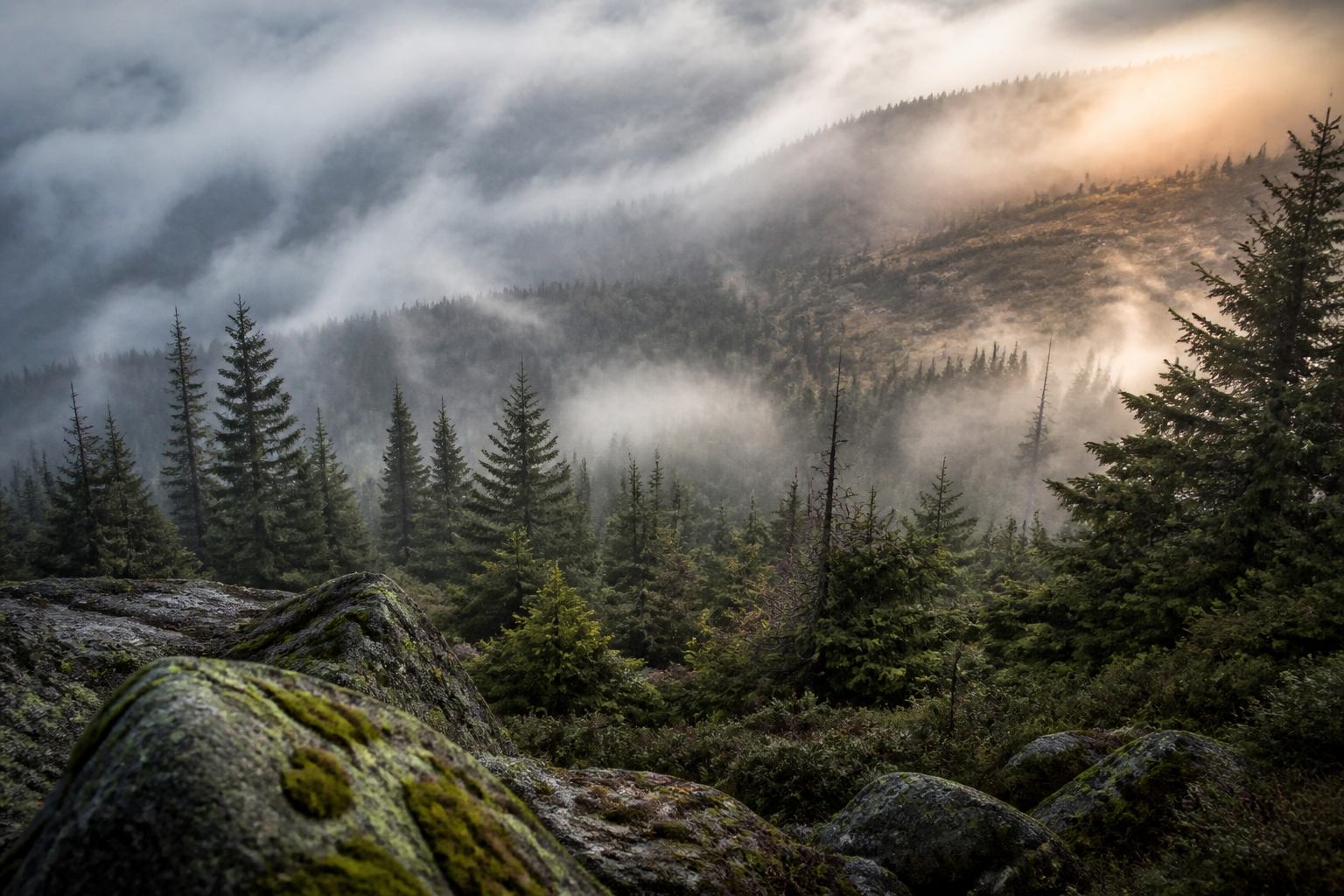 Nebeliger Fichtenwald und Granithänge im Harz unter tiefer Wolkendecke